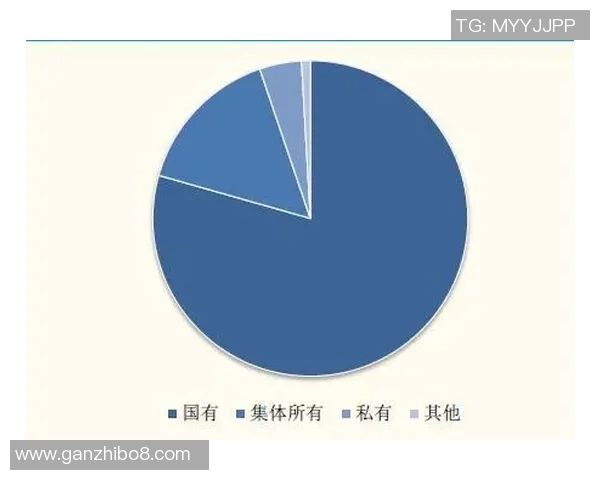 广州足球队的运营模式解析与未来发展展望